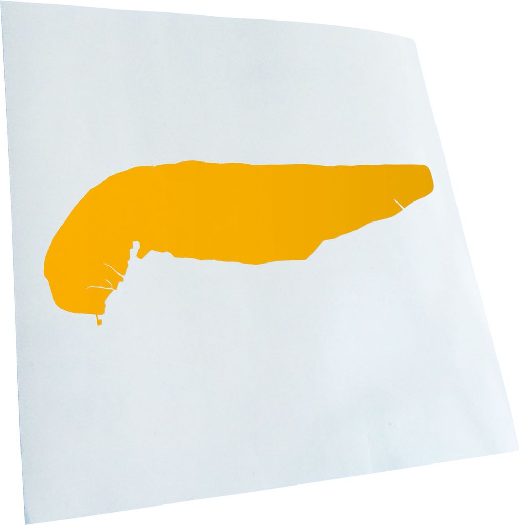 hauptsachebeklebt Kiwistar - Autoaufkleber - Spiekeroog - Deutschland - Insel Heckscheibe - Aufkleber für Auto Kfz Fahrrad, LKW, Truck Mofa