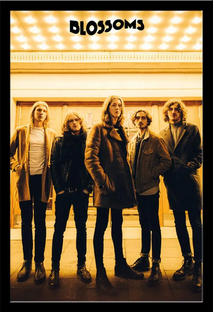 Cadre interchangeable Noir avec Poster Blossoms Vitre Acrylique Incassable