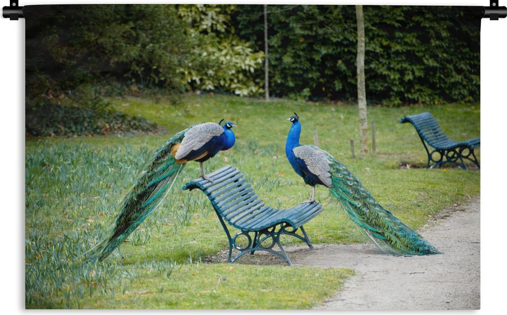 MuchoWow Wandteppich Wandbehang Pfau - Bank - Park 90x60 cm Tapisserie Dekoration Wandtuch - Wandskulpturen - Bildteppich