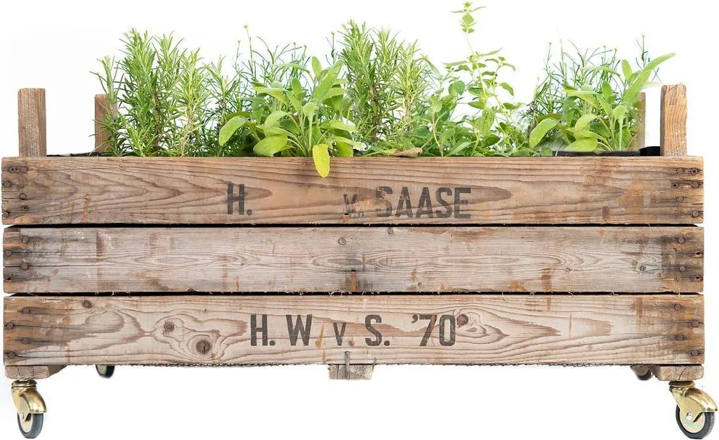 Jardinière surélevée en bois à roulettes 75 cm - Carré potager mobile
