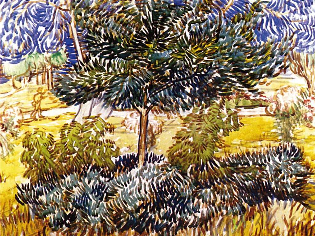Vincent Van Gogh Kunstdruck Bild - Baum Und Sträucher Im Garten Der Heilanstalt, 1889 (60 x 80 cm)