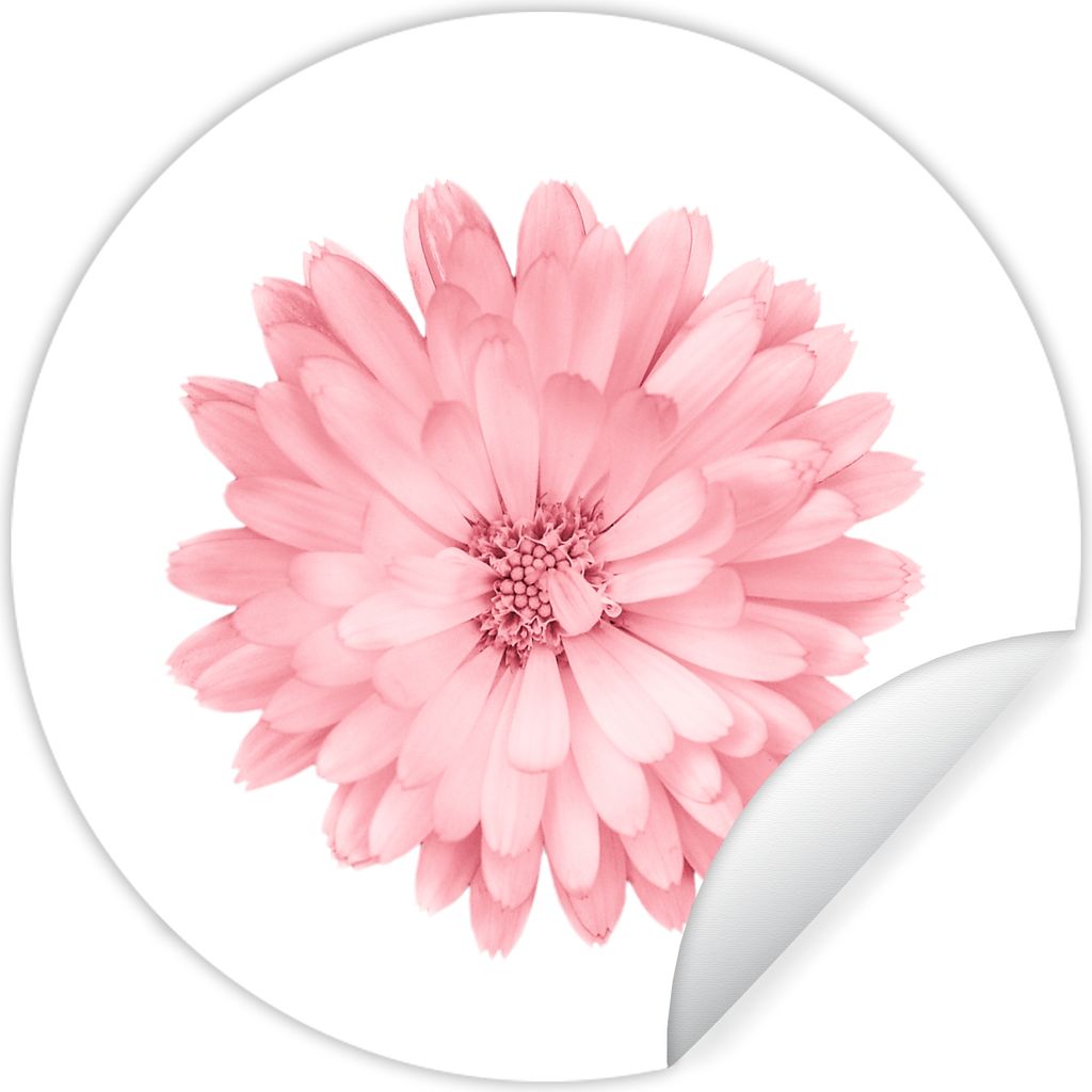 MuchoWow - Wand Kreis - Wand Bild - Foto Tapete - Selbstklebende - Wohnzimmerdekoration - Wand Dekoration - Kinderzimmer