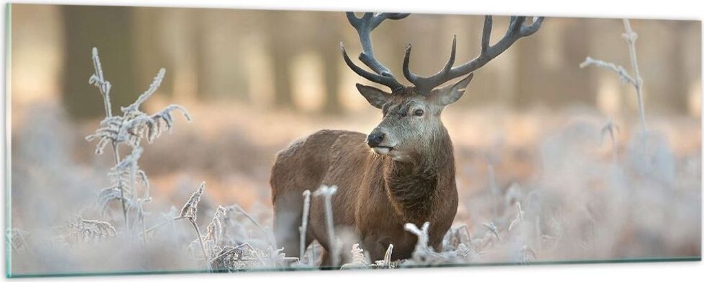 Bilder auf glas - Hirsch Wald Natur - 90x30cm - Glasbilder - Wandbilder - Kunstdruck - zum Aufhängen bereit - Wanddekoration aus Glas - Glas Bilde...