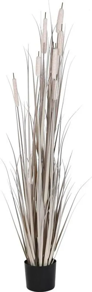 Plante décorative DKD Home Decor Roseaux Artificiels - 45 x 45 x 150 cm