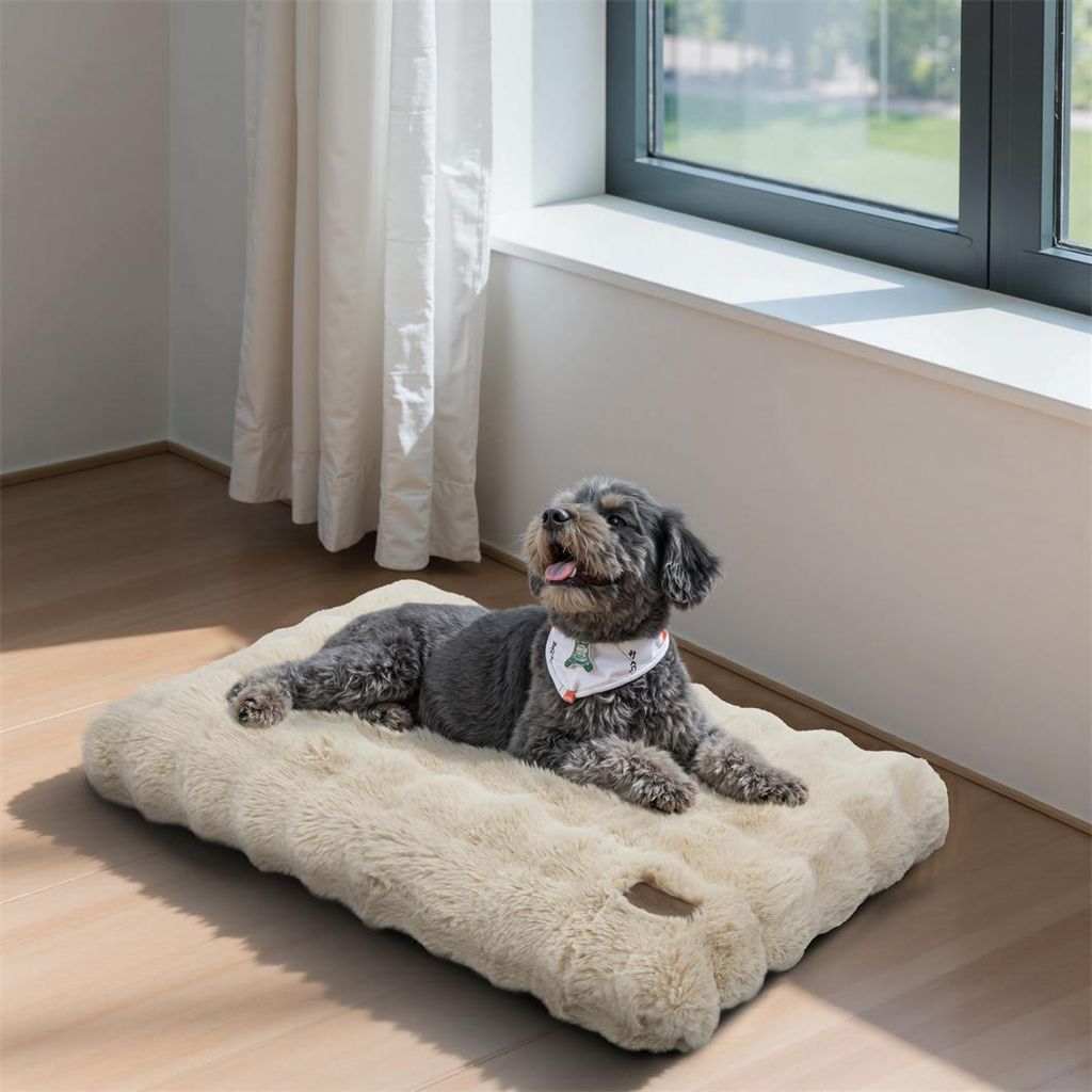 kofferraum hundebett Premium Orthopdisches Visco Auto Hundebett fr den Kofferraum  TierXXL.de