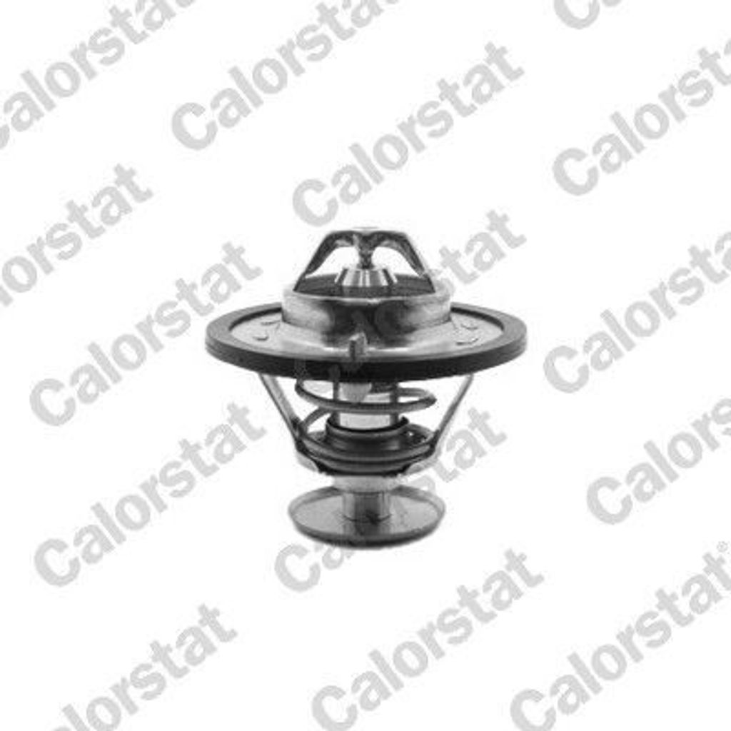 CALORSTAT by Vernet Thermostat Kühlmittel 78°C