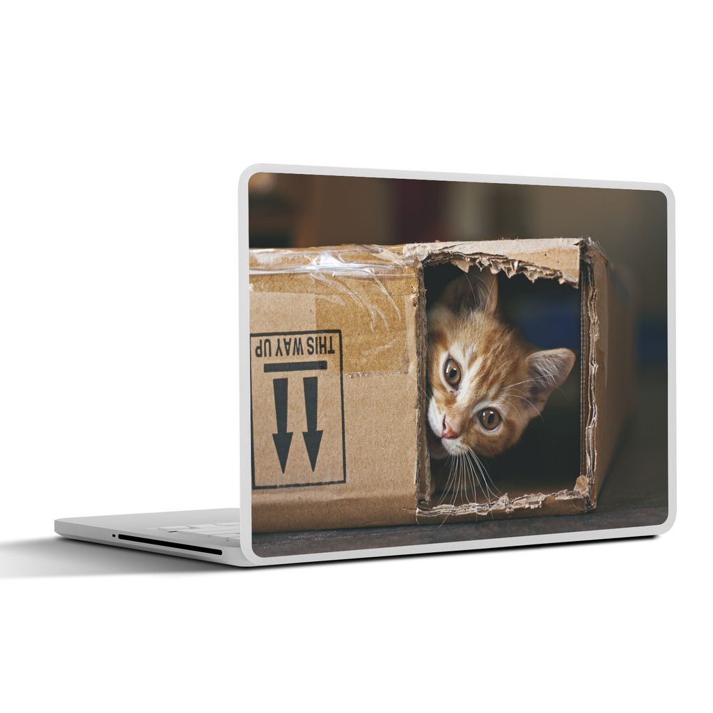 MuchoWow Laptop Aufkleber Sticker Cover Kätzchen - Box - Spielen 30x22 cm - Laptop-Sticker
