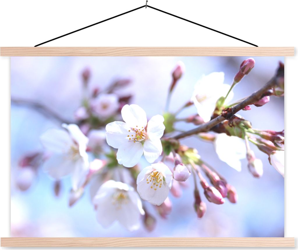 MuchoWow Textilposter Blumen - Sakura - Zweig - Blütendolden 120x80 cm mit holzfarbenen Rahmen - Aufhängeset