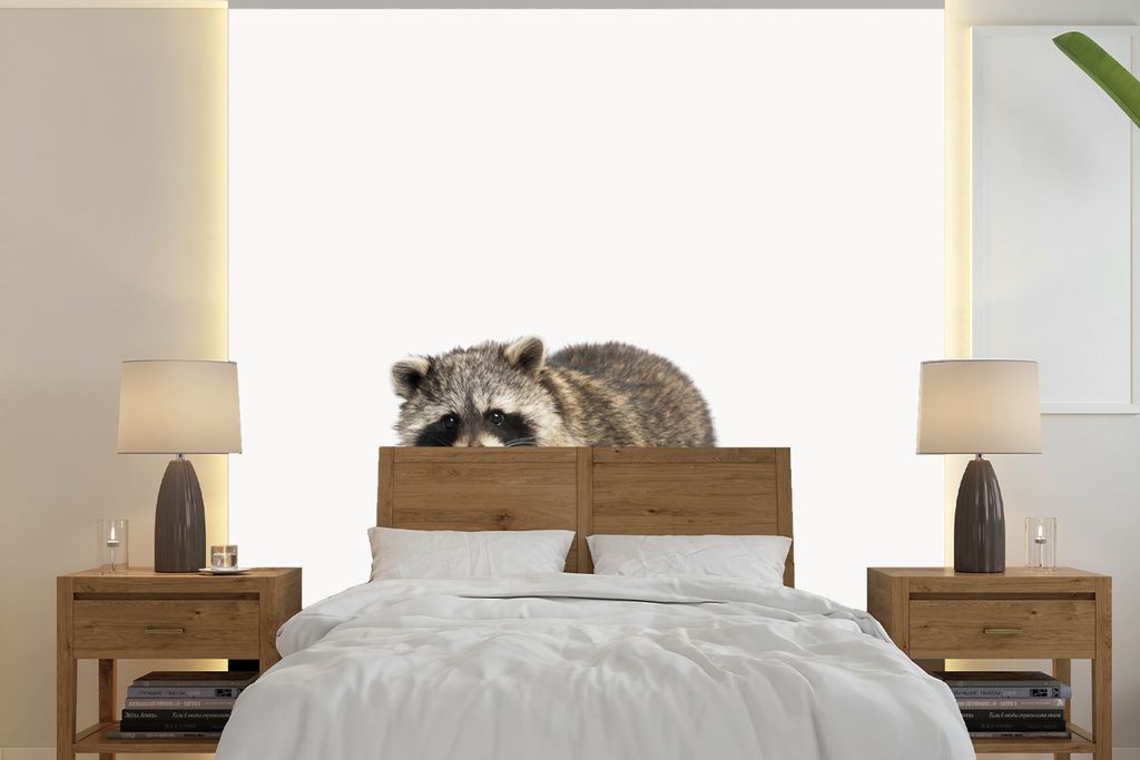 MuchoWow Fototapete für Wohnzimmer oder Schlafzimmer Wandtapete Vinyl Motivtapete Tiere - Waschbär - Weiß - 240x240 cm - Schlafzimmer-Tapete