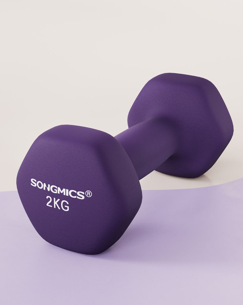 SONGMICS Sada činiek, sada 2, silový tréning, domácnosť, Obrázok produktu 