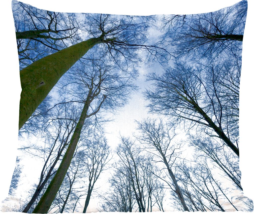 MuchoWow Zierkissen Sofakissen Wohnzimmer Dekokissen 50x50 cm Wald - Bäume - Himmel - Komfort - Sofakissen