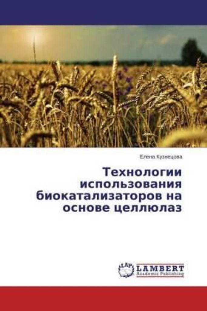 Technologien für den Einsatz von Biokatalysatoren auf der Basis von Cellulasen