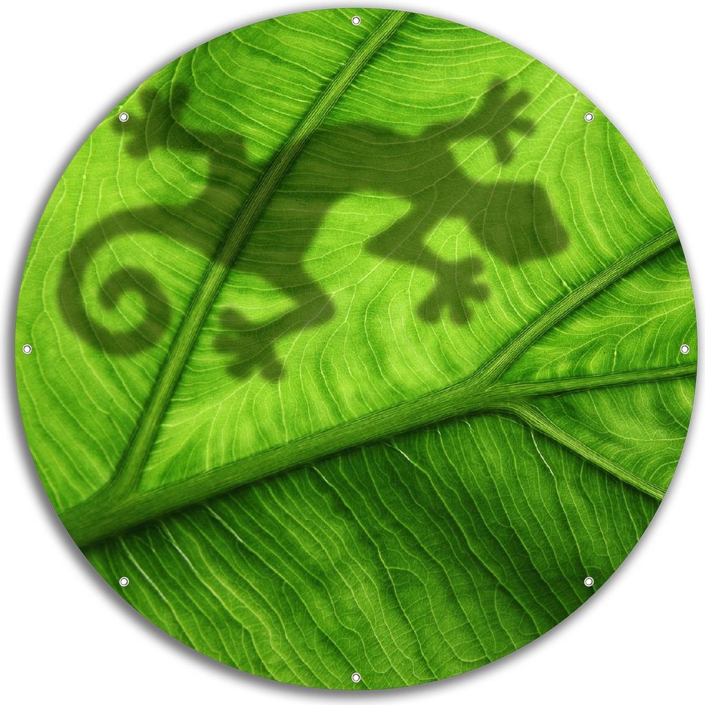 Wallario rundes Outdoor-Poster für Garten oder Balkon, Motiv Gecko Schatten auf grünem Blatt - Umriss, 60 cm Durchmesser