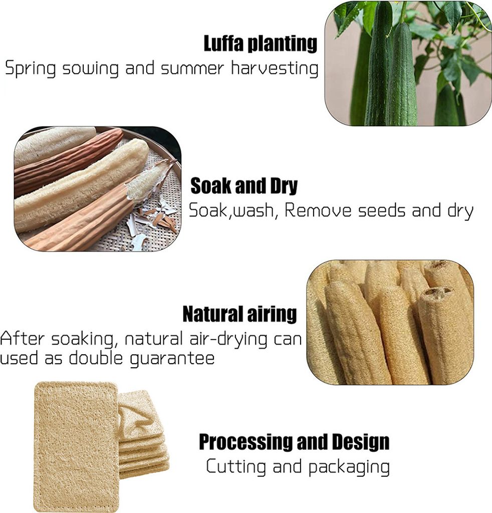 Luffa Schwamm Küche | 6er Pack nachhaltige Küchenschwämme | Produktbild 7