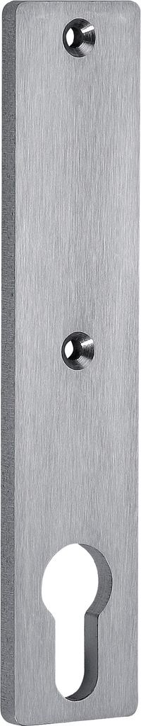 A close-up, straight-on view of a metal escutcheon plate with a keyhole.