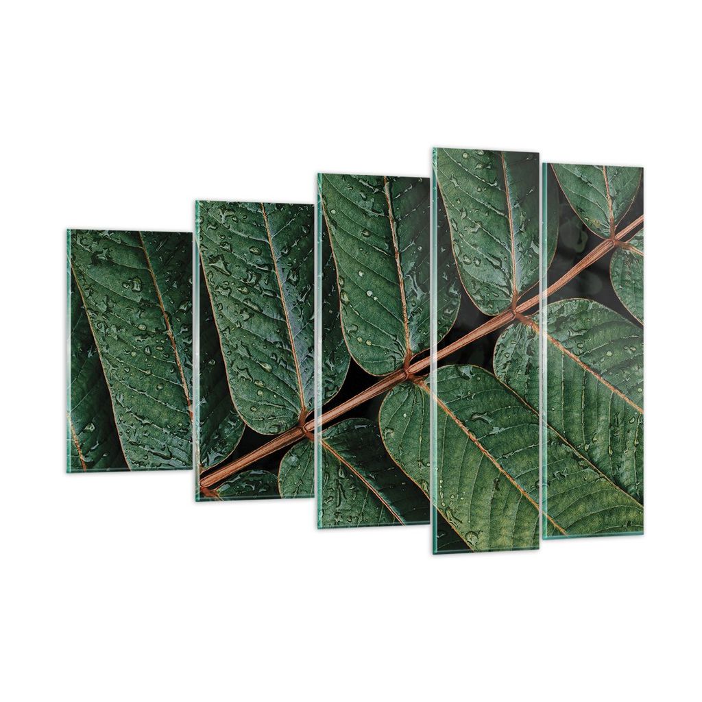 Bilder auf glas - 5 Teile - Tropfen Wasser Blätter - 150x100cm - Glasbilder - Wandbilder - Bilder - zum Aufhängen bereit - Wanddekoration aus Gla...