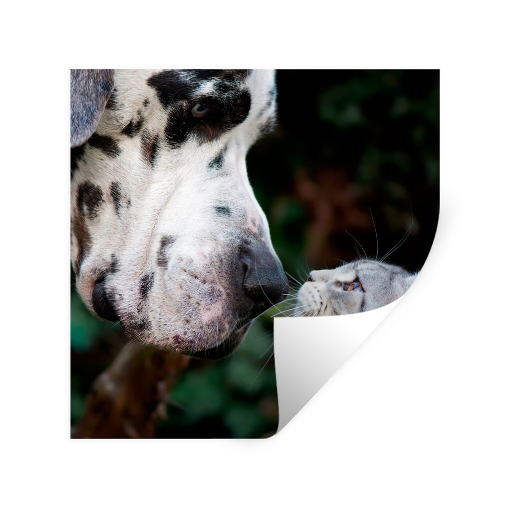 MuchoWow Wandtattoo Wandsticker Wandaufkleber Katze - Hund - Deutsche Dogge 30x30 cm Selbstklebend und Repositionierbar - Repositionierbar - Wass...