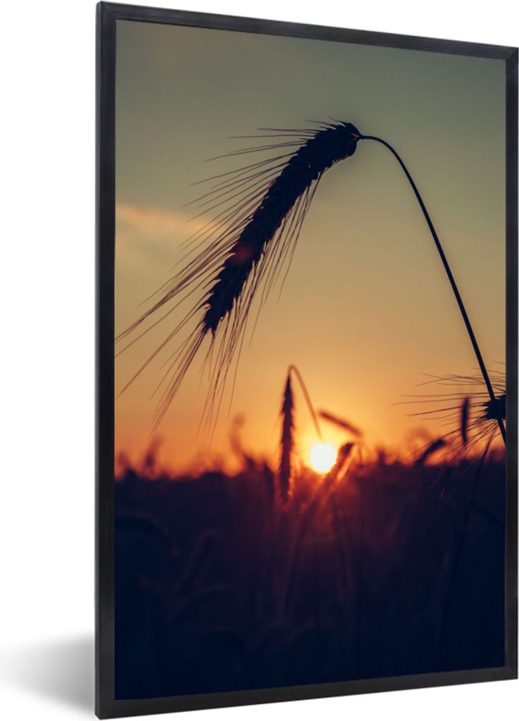 MuchoWow Gerahmtes Poster Gras - Herbst - Sonnenuntergang - Jahreszeiten - Landschaft 40x60 cm - Poster mit Schwarzem Bilderrahmen Wandposter Rah...