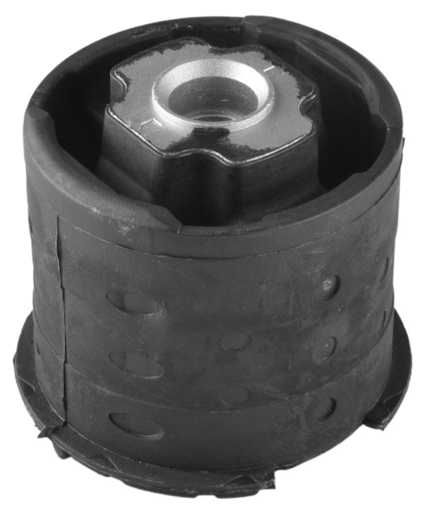 TEDGUM Lagerung Achsträger Achslager 00083997 Hinten Vorne für BMW X5 (E53) 19mm 95,5mm 0,77kg