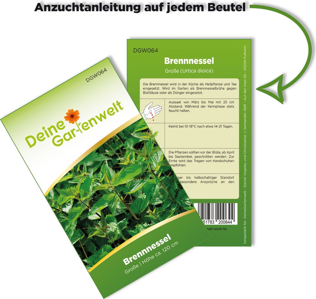 Brennnessel große Samen - Urtica dioica - Brennnesselsamen Produktbild 3