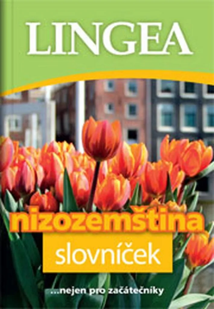 Nizozemština slovníček : Lexique de poche néerlandais-tchèque complet