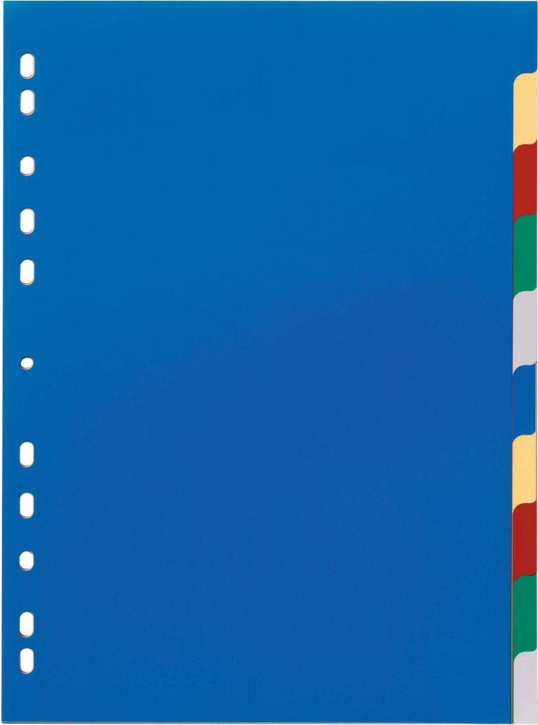 DURABLE Register A4 10-tlg., 674027 mehrfarbig Produktbild 