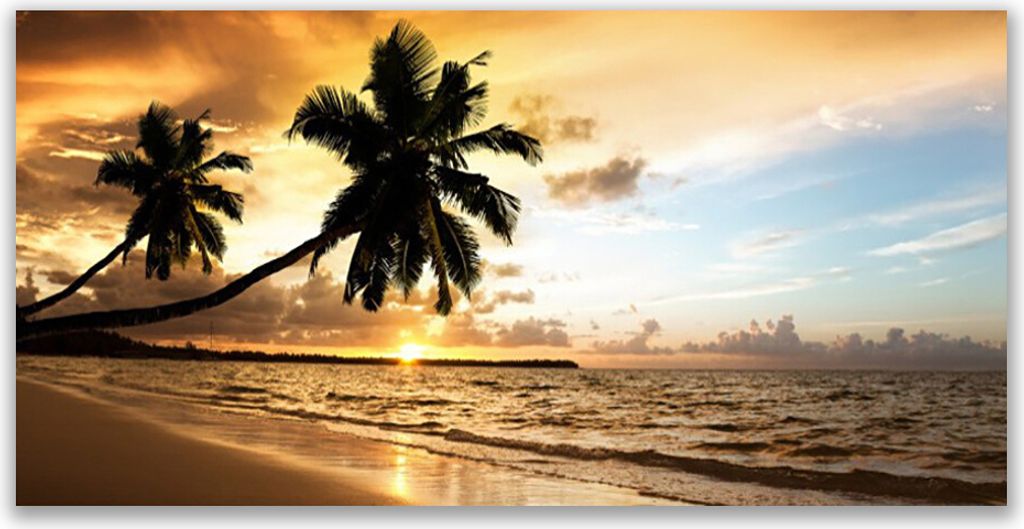 Küchenrückwand aus Glas 120x60cm Spritzschutz Palmen Strand Meer Landschaft
