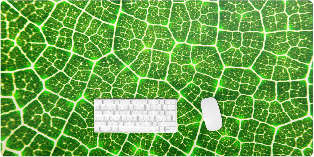 Blatt-Nahaufnahme – Schreibtischunterlage – Rutschfeste Tischunterlage – Schreibtischmatte für Büro & Zuhause – Schreibunterlage – Maus...