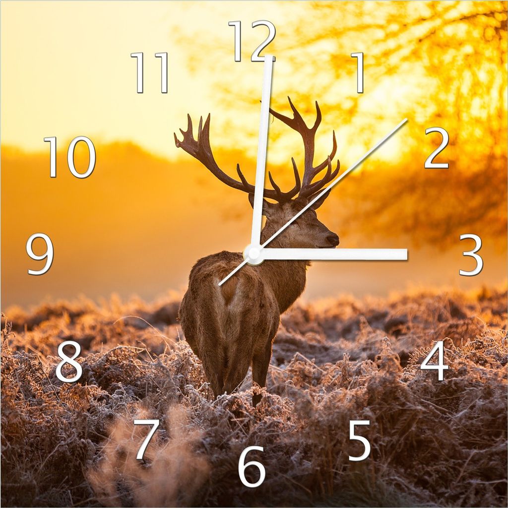 Wallario Design Wanduhr stattlicher Rothirsch im Morgengrauen aus Echtglas, Größe 30 x 30 cm