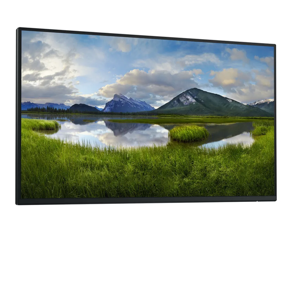 Écran Dell P2425H 24 pouces IPS Full HD HDMI DP USB-C sans support
