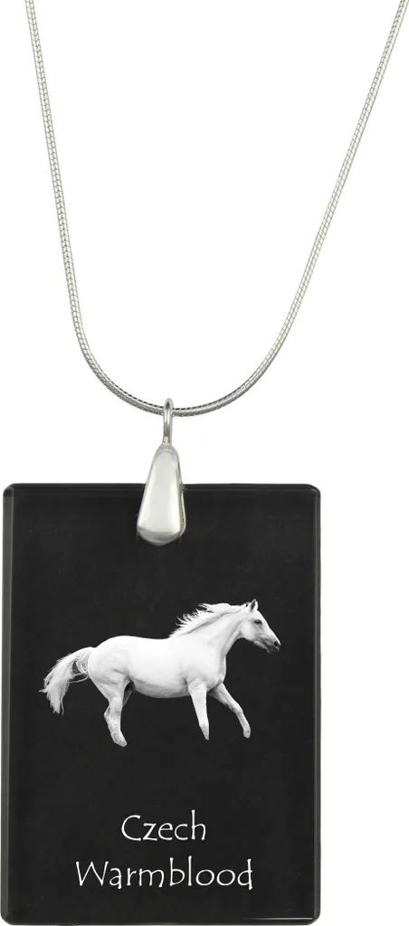 Pendente Cristallo 3D Český Teplokrevník Collana Argento Art-Dog Spec