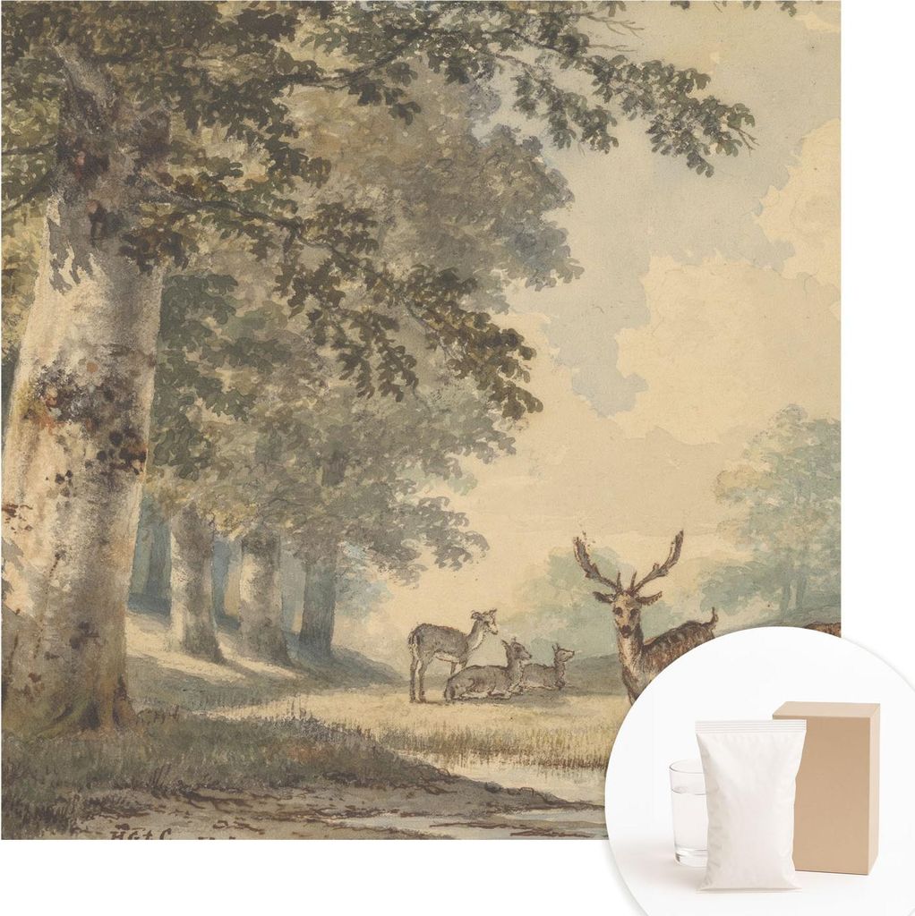 Fototapete - Wandbilder für Wohnzimmer - 250x250 cm - Dekorative Wandfolie - Modernes Design für Wanddekoration - Tapeten für Innenräume - Wald...