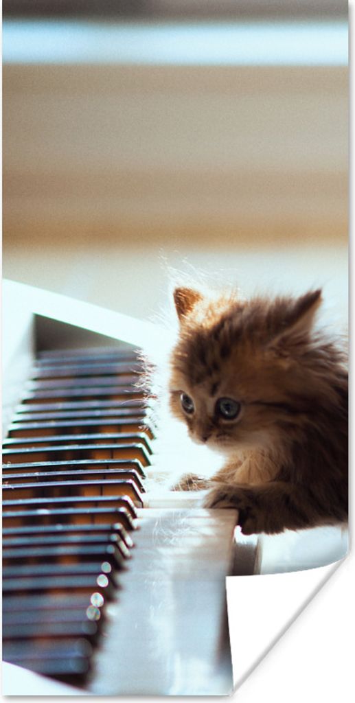 MuchoWow Poster Katze - Tier - Kätzchen 80x160 cm - Kinderzimmer