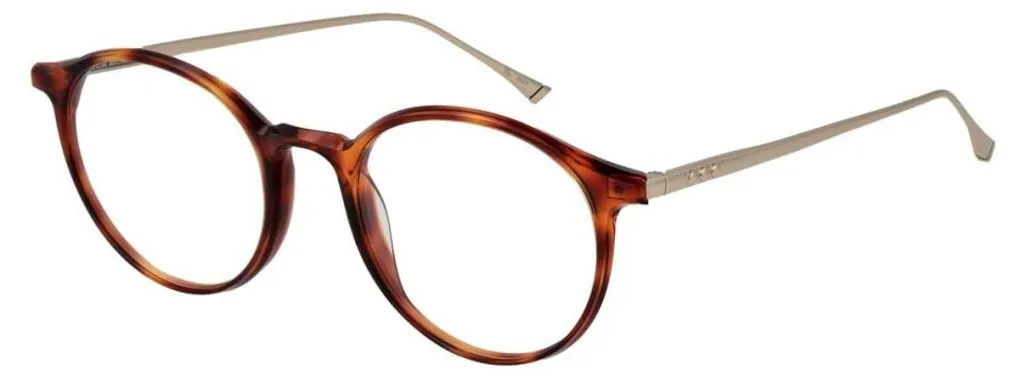 Taylor Morris Sw4 49C5 Lunettes de Soleil de Voyage Chic et Urbaines