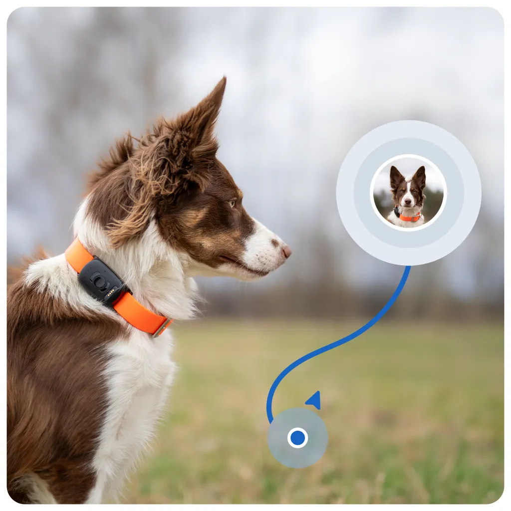 GPS Tracker Atto Pro Étanche IP67 - Localisation en Temps Réel Chat et Chien