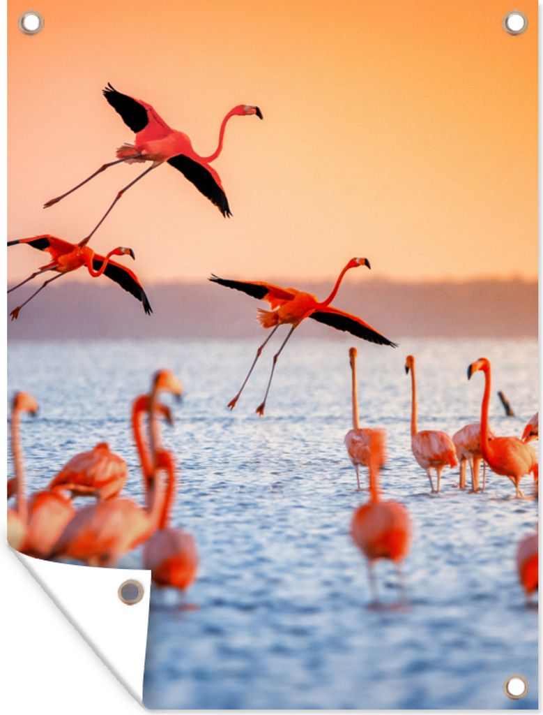 MuchoWow 30x40 cm Outdoor-Poster Gartendeko Sichtschutz Garten Poster für den Garten Vogel - Flamingo - Wasser - Sonnenuntergang - Rosa
