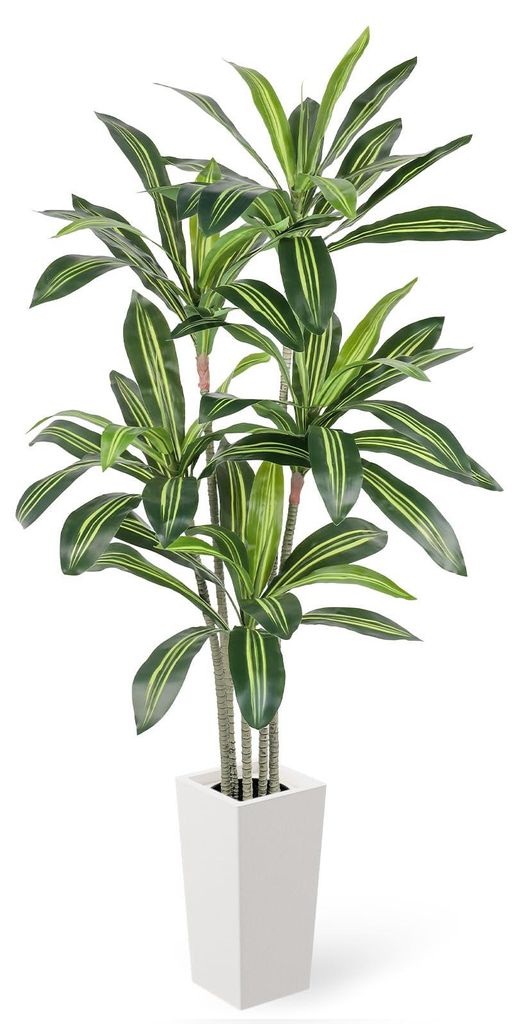 Künstlicher Drachenbaum, 160 cm, große künstliche Pflanze im weißen Topf, realistische Dracaena aus Kunststoff für Wohnzimmer, Büro, Garten, ...