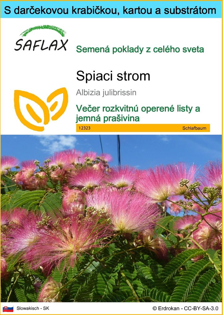 SAFLAX Darčeková sada - spiaci strom - Albizia julibrissin Obrázok produktu 