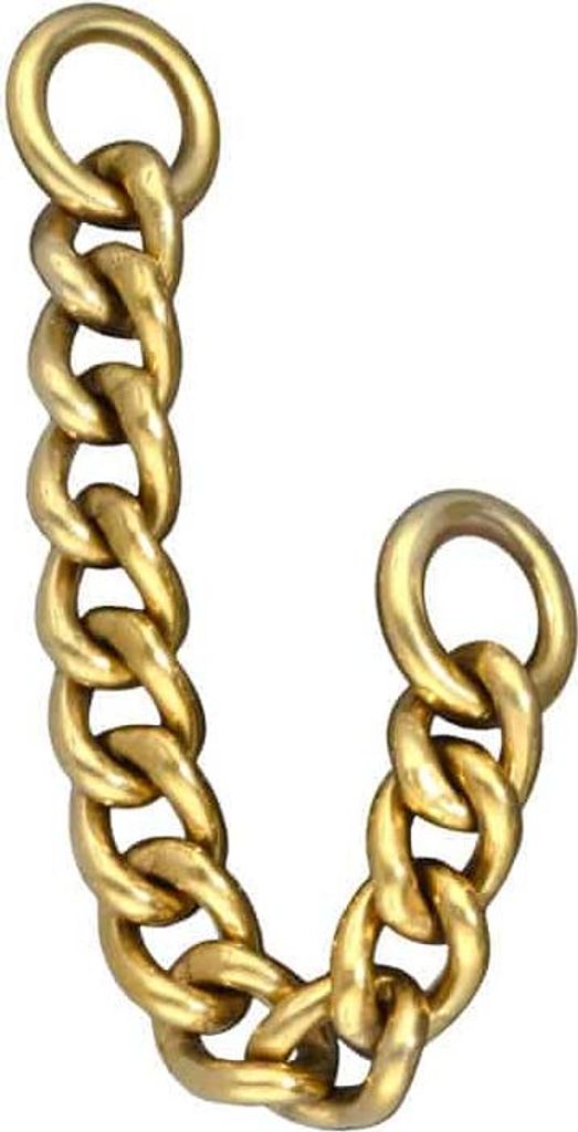Titan Anhänger für Clicker PANZERKETTE Gold Kettenlänge: 20mm