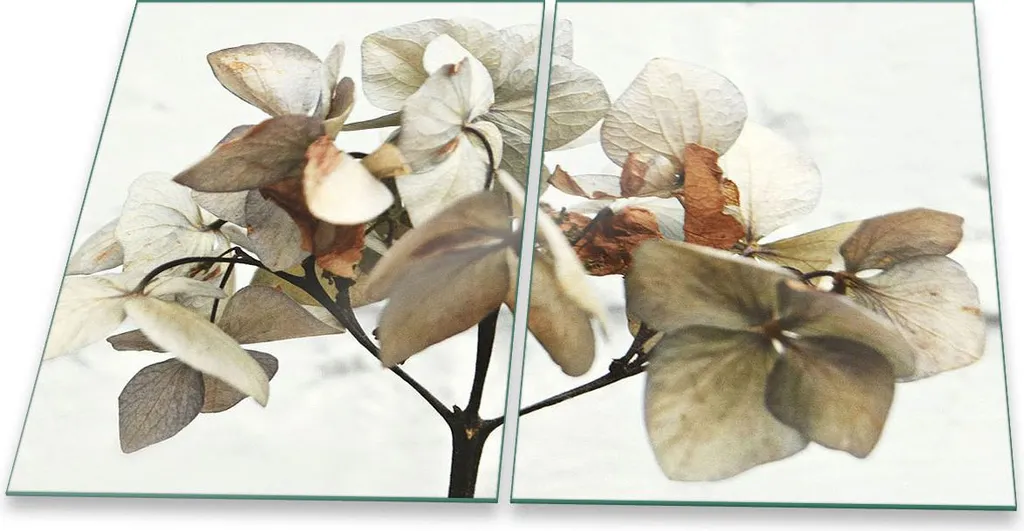 Lastra Vetro Temperato Copri Fornelli 2x40x52 Fiori Bianco Qualità