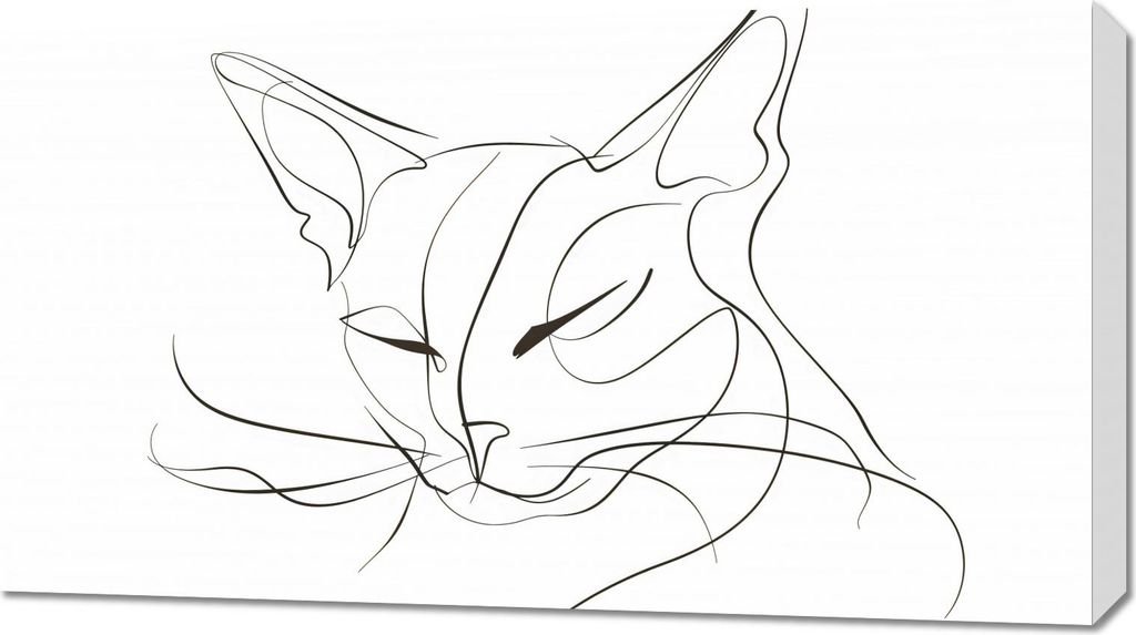 Bild 90x50cm Linien Katze