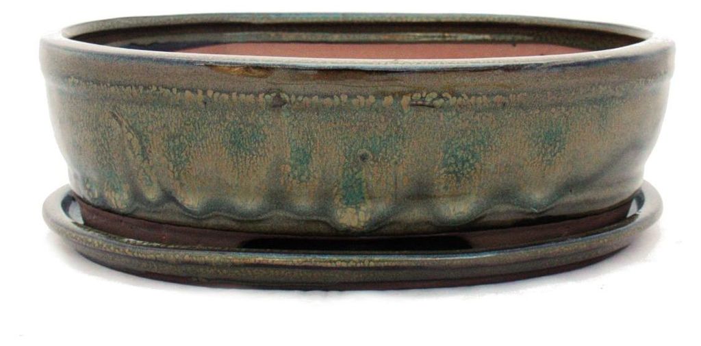 pot à bonsaï avec soucoupe, taille 4 - olive-brun - ovale - Image du produit 