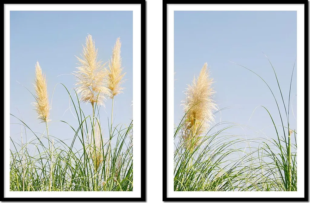 Tableau peint Grass Field Boho P2177 diptyque 53x73cm ensemble de 2