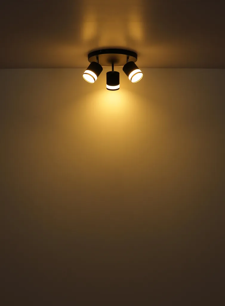 Plafonnier LED Noir Réglable 30 cm - Intensité Variable et Design - 2