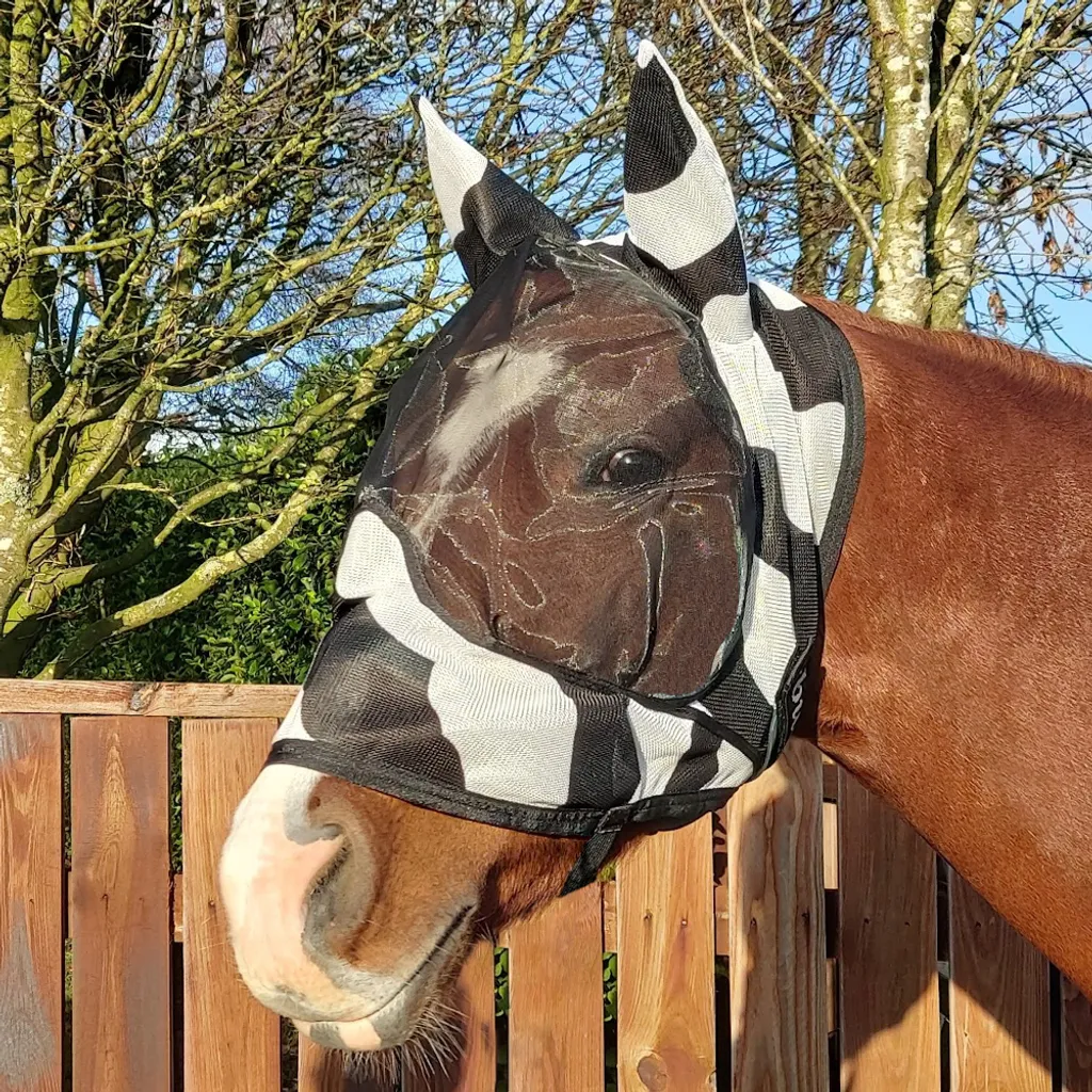 Maschera Bucas Buzz-Off Zebra con Orecchie | Protezione Mosche Professionale