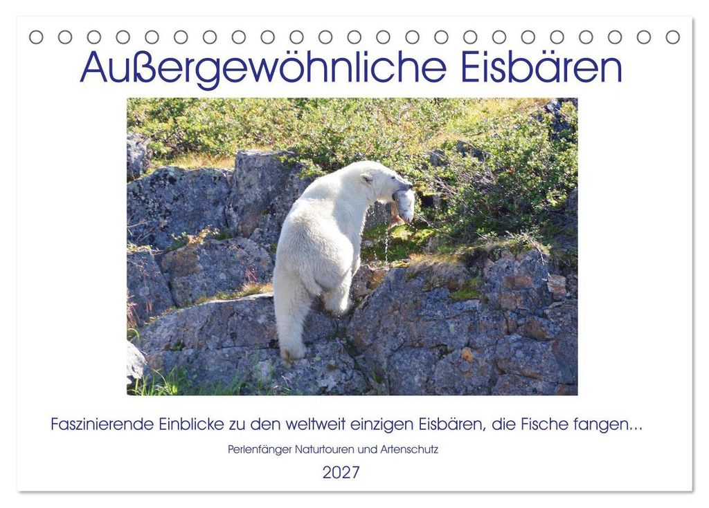 Das Leben der etwas "anderen" Eisbären! (Tischkalender 2027 DIN A5 quer), CALVENDO Monatskalender