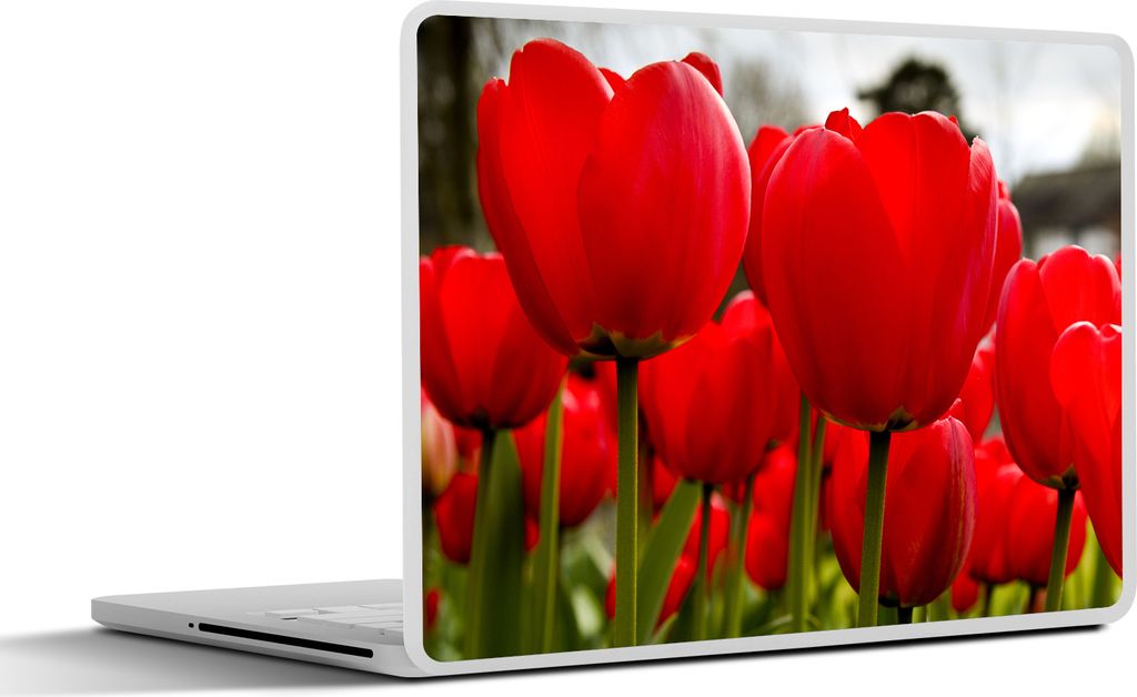 MuchoWow Laptop Aufkleber Sticker Cover Nahaufnahme von roten Tulpen 31x22.5 cm - Laptop-Deko