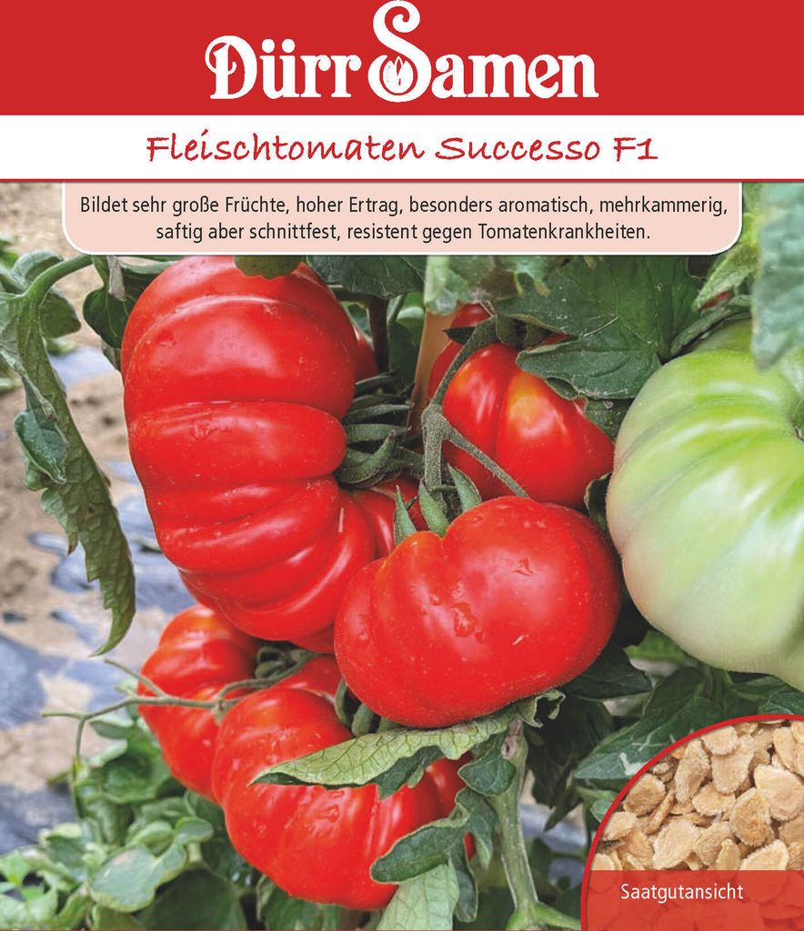 Fleischtomaten Successo F1 | Fleischtomatensamen von Dürr Produktbild 