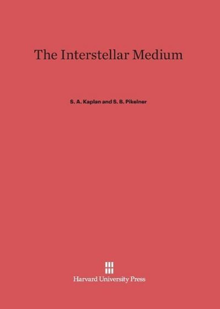 The Interstellar Medium