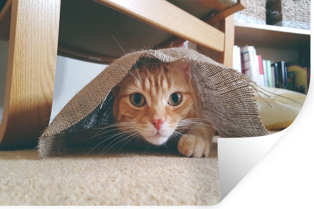 MuchoWow - Wierderverwendbar - Selbstklebend